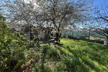 Ведение садоводства, 4 сот.