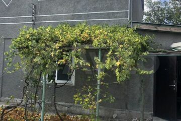Дом, 100 м², 2 эт.
