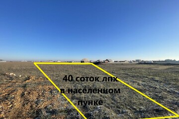 ЛПХ, 40 сот.